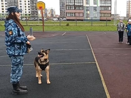 Собака по кличке Лора искала «взрывчатые устройства» в новгородской школе