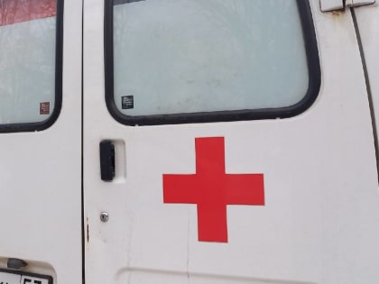 В Боровичах 19-летний водитель врезался в дерево