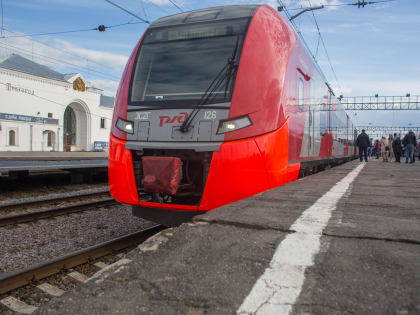 С начала 2025 года для новгородцев, путешествующих в Петербург, запустят дополнительную «Ласточку»