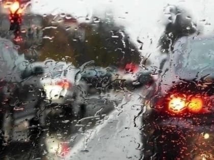 Ближайшие дни в Новгородской области будут дождливыми