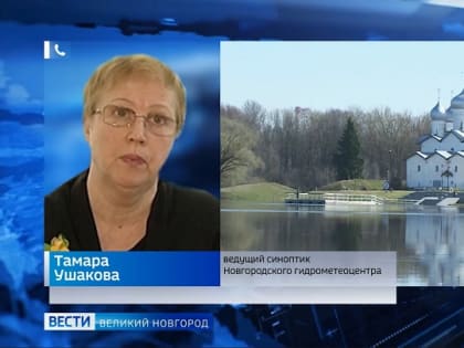 Новгородские синоптики рассказали, какая погода нас ждет в ближайшие дни