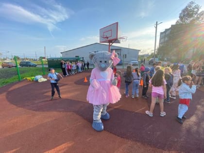 В Панковке Новгородского района построили детскую и спортивную площадки