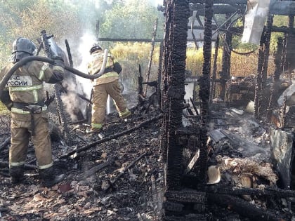 В Старорусском районе на пожаре в дачном доме погиб человек