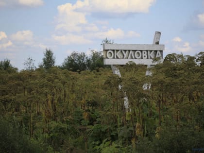 Глава Окуловского района Алексей Шитов уходит в отставку