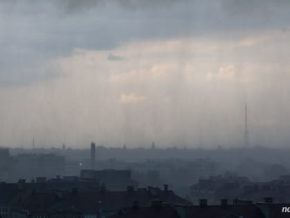 Завтра в Новгородской области снова ожидаются кратковременные дожди