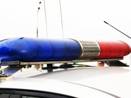 Держи дистанцию: из-за пренебрежения простым правилом в ДТП погиб молодой новгородец