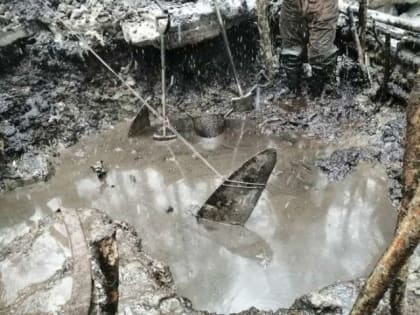 Поисковики установили экипаж самолёта, найденного в Новгородском районе
