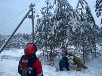 За три дня энергетики восстановили 2500 километров ЛЭП в Новгородской области