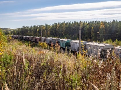 Погрузка на железнодорожном транспорте в Новгородской области увеличилась на 6,6% за год