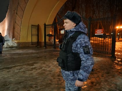 Новгородские росгвардейцы задержали гражданина, совершившего грабежи