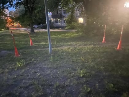 Единственное в Новгородской области ДТП с пострадавшим устроил самокатчик