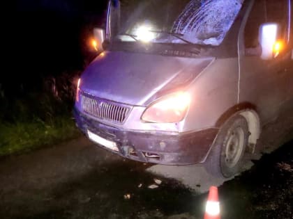 В результате ДТП на Нехинском шоссе пострадал велосипедист