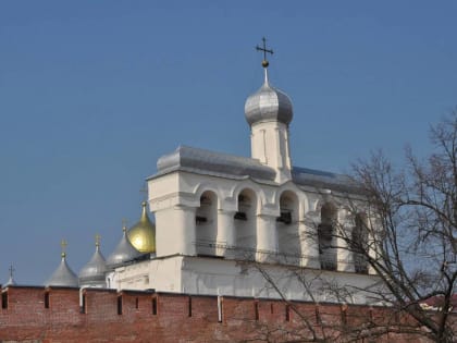 К середине недели в Новгородской области потеплеет до 21 градуса