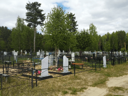 Население Новгородской области за год сократилось на 8 561 человека