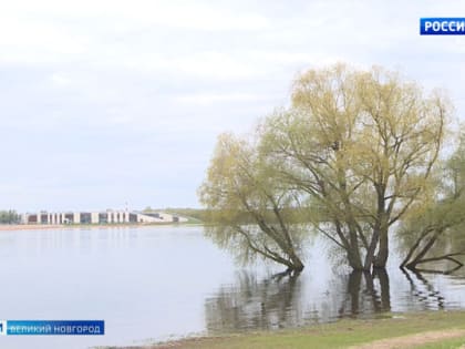 Новгородские синоптики предупреждают, что вечером и ночью 8 и 9 мая значительно похолодает