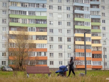 В Новгородской области будет реализовываться пилотный проект по стимулированию рождаемости