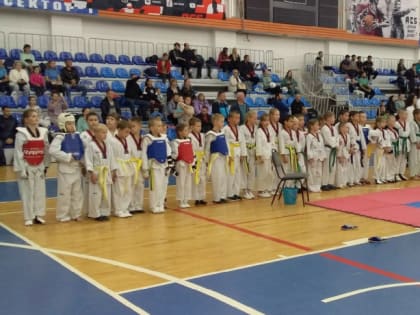 В Великом Новгороде прошел фестиваль единоборств