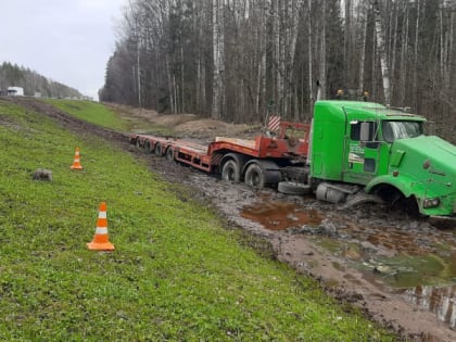 На М10 водитель фуры съехал в кювет, а в Батецком районе сбили лося