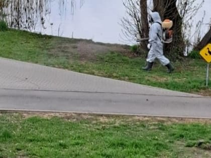 Нарастающим итогом: экстренную профилактику от укуса клещей получили уже 43 новгородца