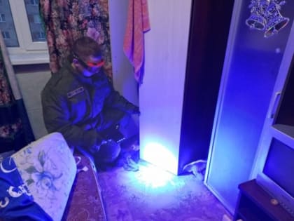 По ходатайству следователя СК суд арестовал жителя Великого Новгорода, обвиняемого в убийстве своей знакомой