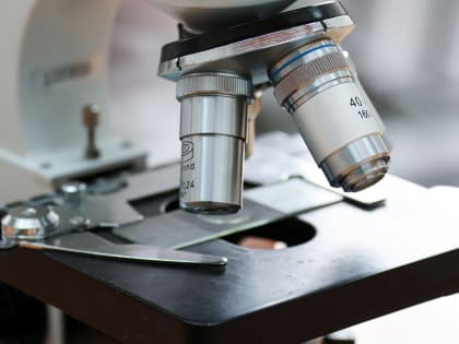 В Великом Новгороде разработали ПО для распознавания эмоций