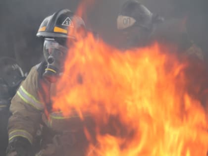 Пожары в Новгородской области: причины и последствия