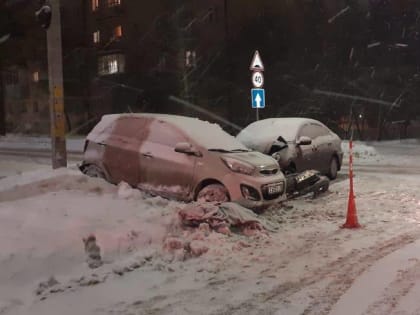 В Новгородской области два человека погибли и трое пострадали в ДТП за сутки