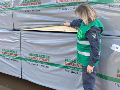 Экспорт лесопродукции из Новгородской области достиг рекордов