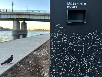 Руководитель «Парков Великого Новгорода» рассказал о новшествах для животных и птиц