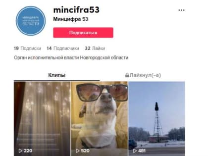 Минцифры Новгородской области начинает осваивать TikTok