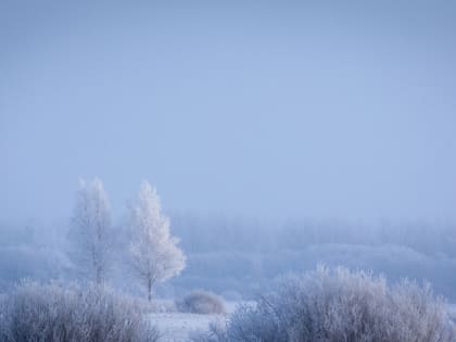 Небольшой снегопад вновь ожидает новгородцев во вторник