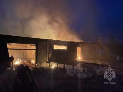 Ночью в Новгородском районе сгорела хозяйственная постройка