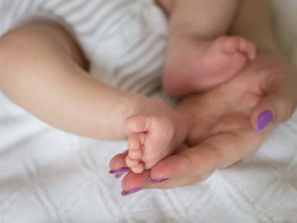Искусственное оплодотворение помогло появиться на свет 91 новому новгородцу