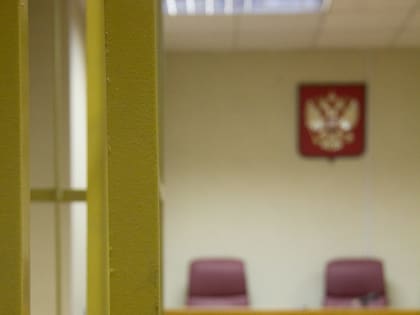 Виновная в ДТП новгородка Родина осуждена за пьяное вождение и причинение тяжкого вреда