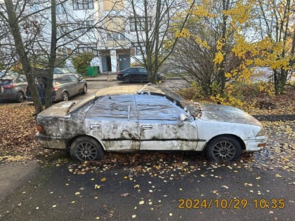 Специалисты контролируют соблюдение правил в Великим Новгороде