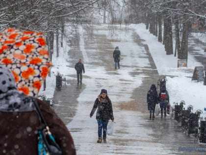 В Новгородской области ожидается дождь со снегом и порывистым ветром
