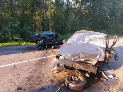 В Старорусском районе в ДТП погиб девятимесячный ребенок. Возбуждено уголовное дело