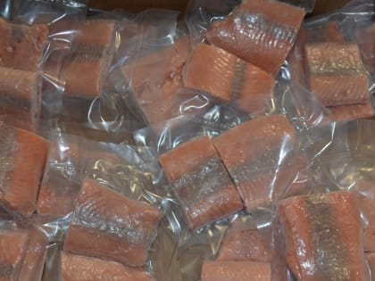 В апреле Новгородская область отправила на экспорт 87 тонн рыбы и морепродуктов