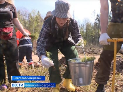 Новгородская область приняла участие в международной акции "Сад памяти"