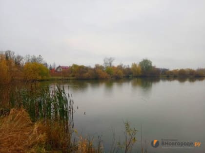 Подрядчик готов приступить к благоустройству парка «Чистые пруды» в Северном микрорайоне
