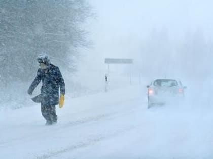 Советы спасателей: действия при сильной метели