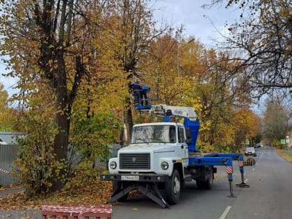 «Городское хозяйство» спилило повреждённые огнём деревья на Нутной улице