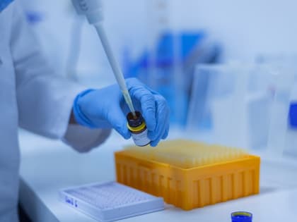Более половины новгородских «омикронщиков» имели прививки или переболели коронавирусом – Роспотребнадзор   