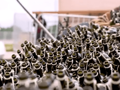 Винопись и винология: на фестивале «Виноград» в Великом Новгороде побывало 230 тысяч человек