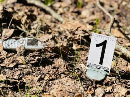 По существу: 6 лет спустя следствие вычислило маньяка, напавшего в кустах на новгородку