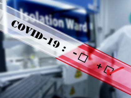 Рост продолжается: 77 жителей Новгородской области