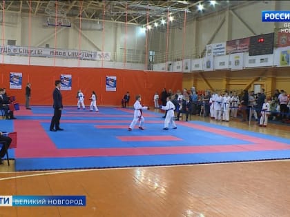 В Великом Новгороде прошли Первенство Новгородской области по каратэ и  турнир "Юный мастер"