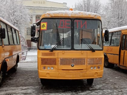 Из-за снегопада в Солецком округе, Старорусском и Маловишерском районах организовали дистанционное обучение