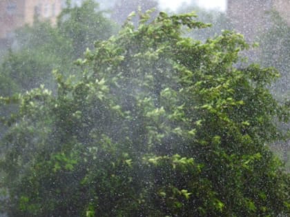 В Новгородской области объявили штормовое предупреждение