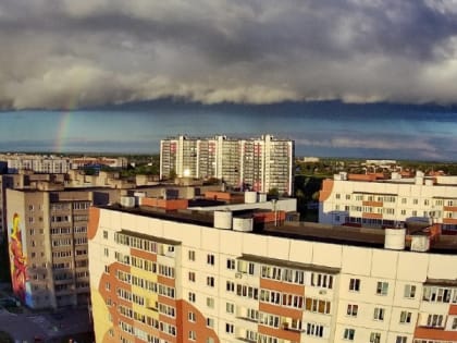 Неделя в сети: уход королевы и туманное осеннее утро